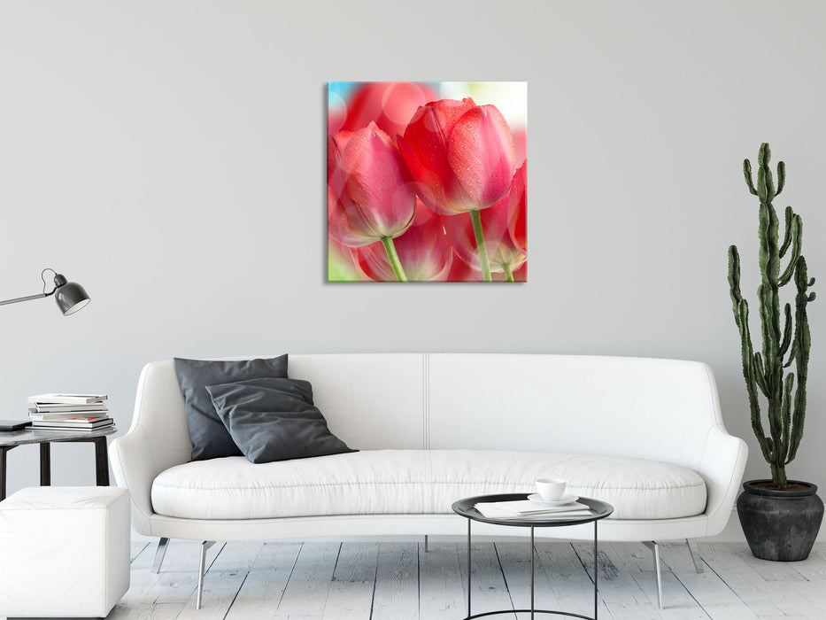 Rote Tulpen, Glasbild Quadratisch