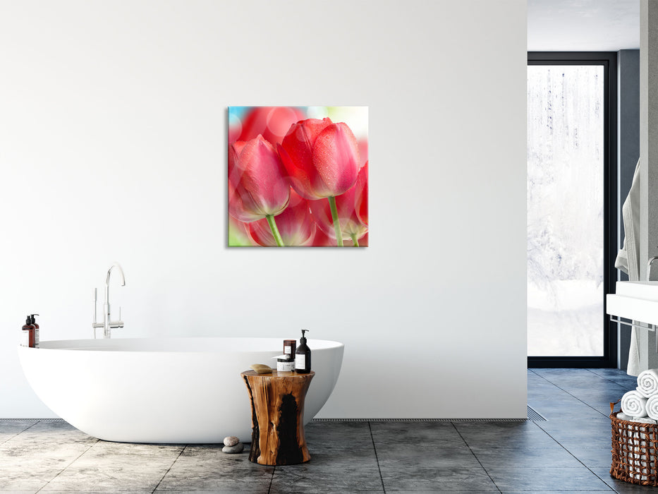 Rote Tulpen, Glasbild Quadratisch