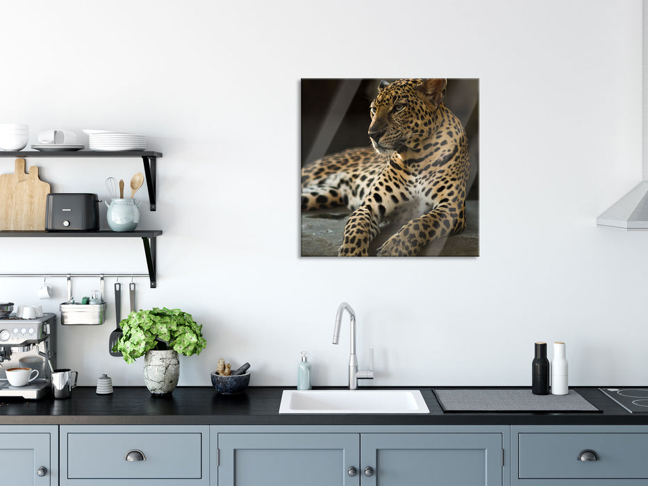 Majestätischer Leopard, Glasbild Quadratisch