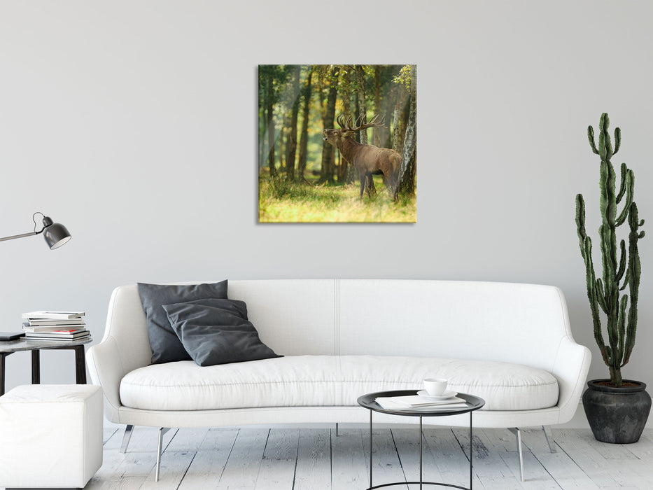 Hirsch im Wald, Glasbild Quadratisch