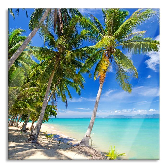 Pixxprint Palmen Traumstrand, Glasbild Quadratisch