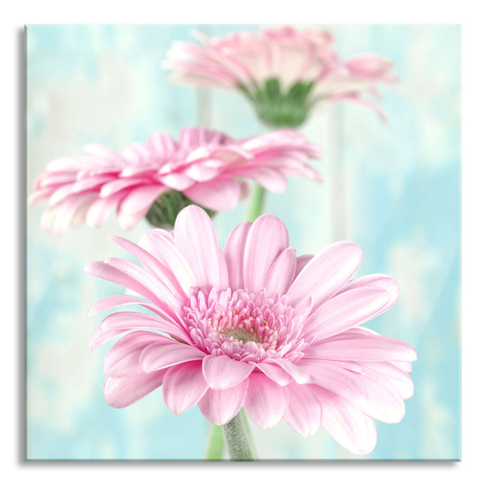 Pixxprint Gerberas, Glasbild Quadratisch