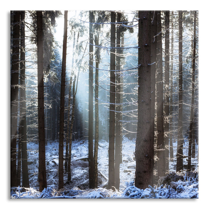 Pixxprint Winterwald, Glasbild Quadratisch