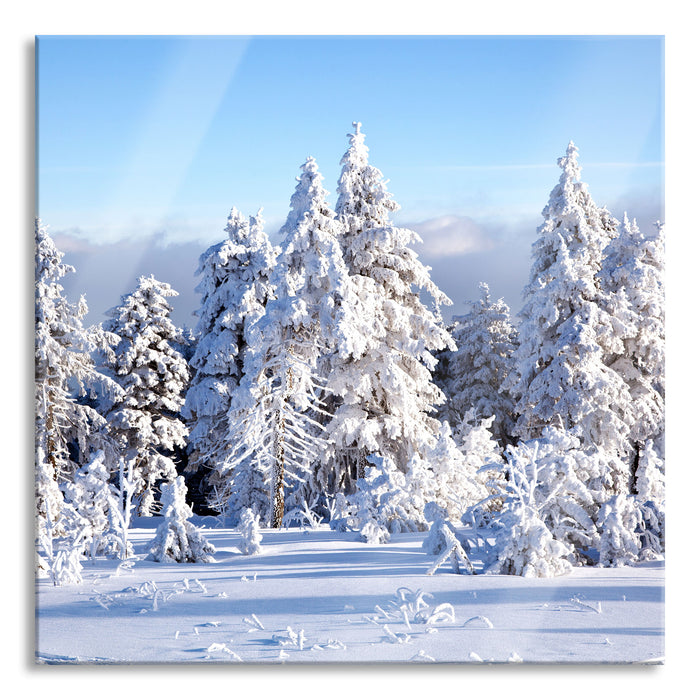 Pixxprint Winterwald, Glasbild Quadratisch