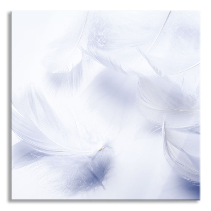 Pixxprint Weiße Feder auf schwarzem Stein, Glasbild Quadratisch