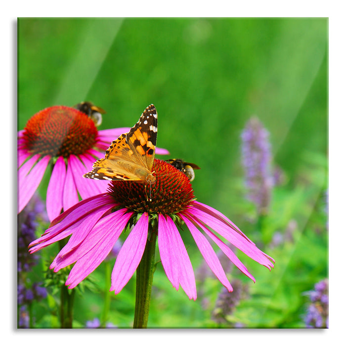 Pixxprint Schmetterling auf Blüte, Glasbild Quadratisch