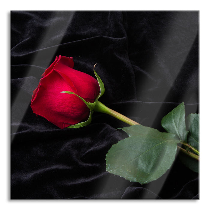 Pixxprint Rose, Glasbild Quadratisch