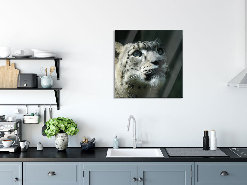 Leopard, Glasbild Quadratisch