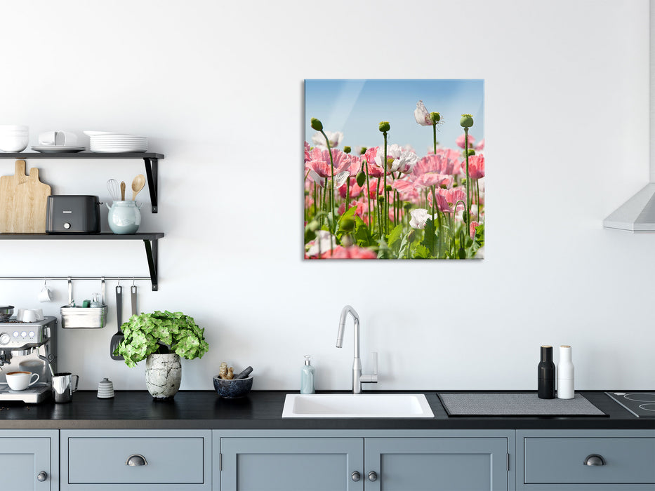 Blumenwiese Mohnblumen, Glasbild Quadratisch