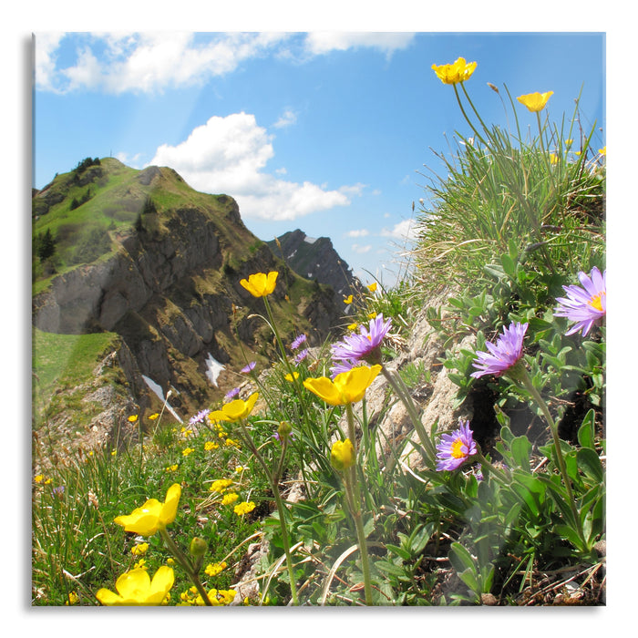 Blumenwiese im Frühling, Glasbild Quadratisch