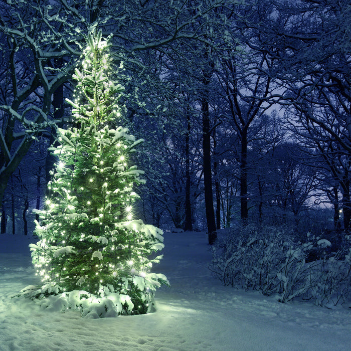 Leuchtender Weihnachtsbaum, Glasbild Quadratisch