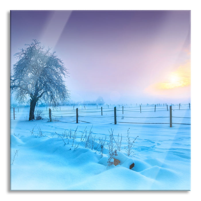 Pixxprint Baum in Winterlandschaft, Glasbild Quadratisch