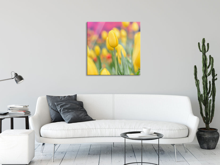 Gelbe Tulpen im Frühling, Glasbild Quadratisch