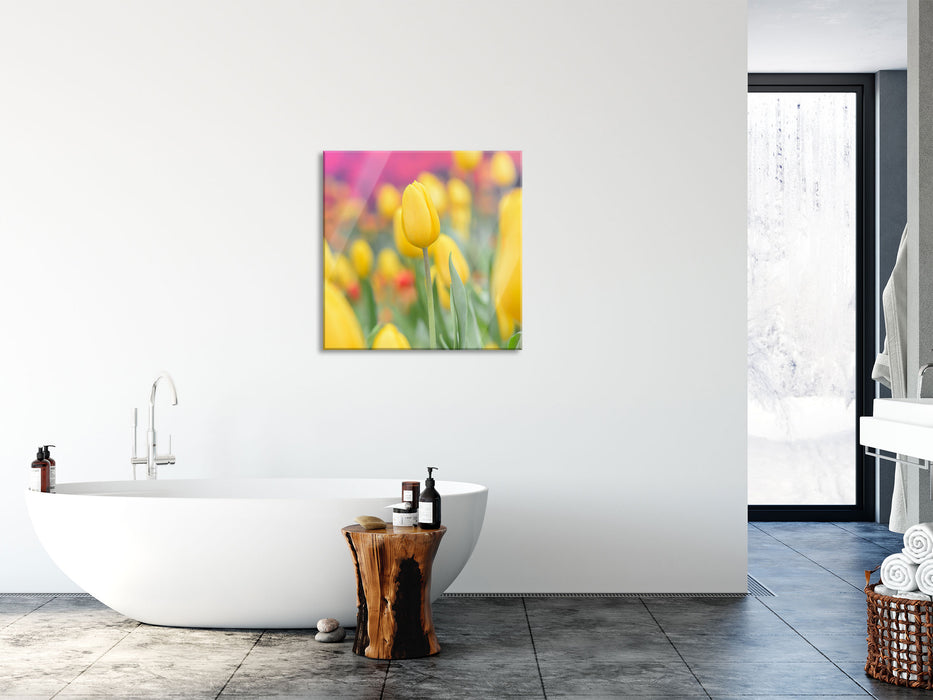 Gelbe Tulpen im Frühling, Glasbild Quadratisch