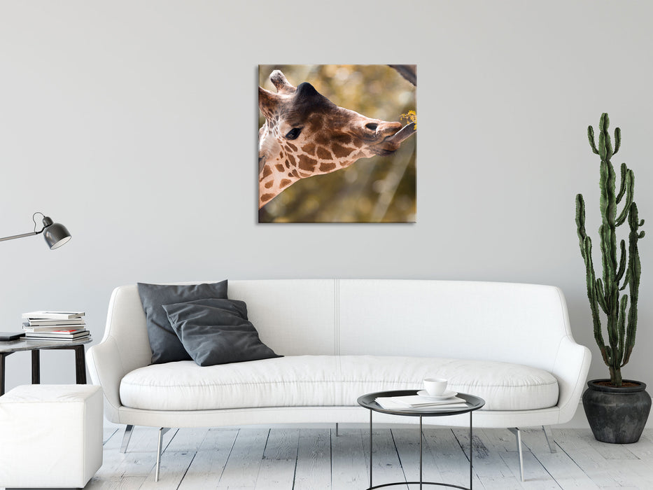 Giraffe Gesicht, Glasbild Quadratisch