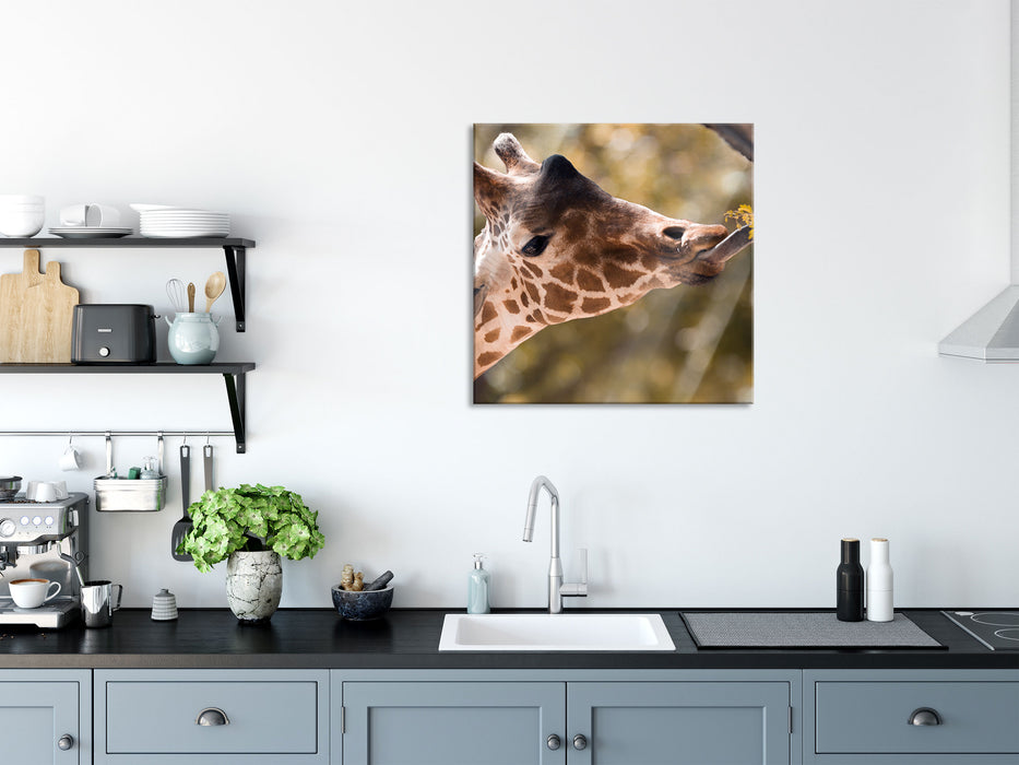 Giraffe Gesicht, Glasbild Quadratisch