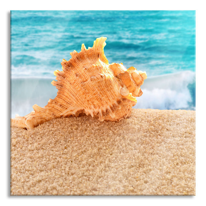 Pixxprint Muschel am Strand, Glasbild Quadratisch