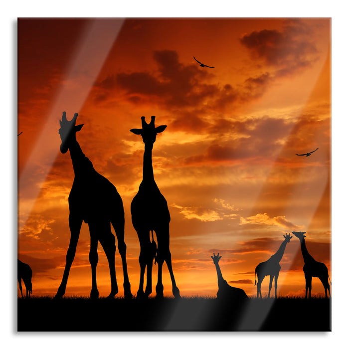 Pixxprint Afrika Giraffen im Sonnenuntergang, Glasbild Quadratisch