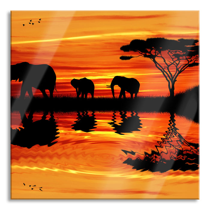 Pixxprint Afrika Elefant in Sonnenschein, Glasbild Quadratisch