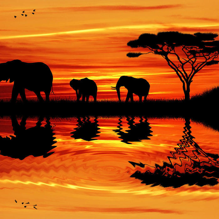 Afrika Elefant in Sonnenschein, Glasbild Quadratisch