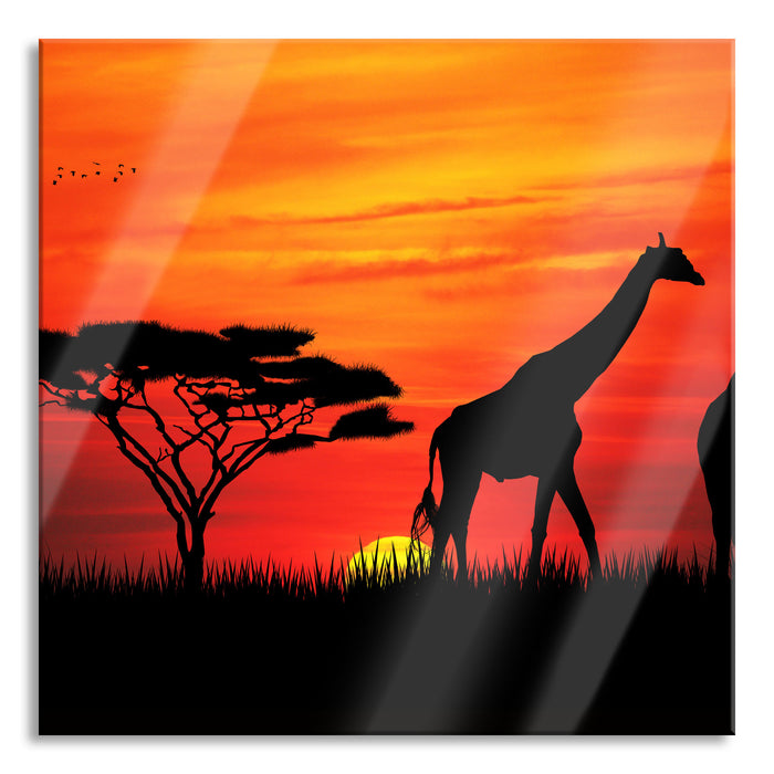 Pixxprint Afrika Giraffen im Sonnenuntergang, Glasbild Quadratisch