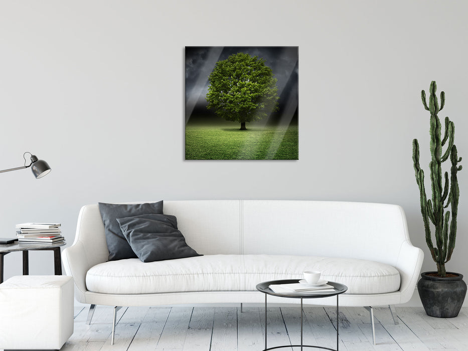 einzelner Baum auf grüner Wiese, Glasbild Quadratisch