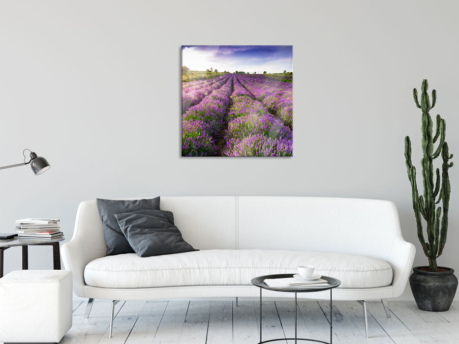 Lavendelfeld Provence, Glasbild Quadratisch