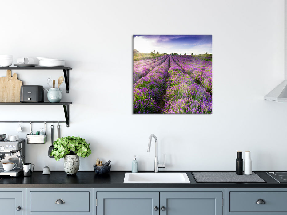 Lavendelfeld Provence, Glasbild Quadratisch