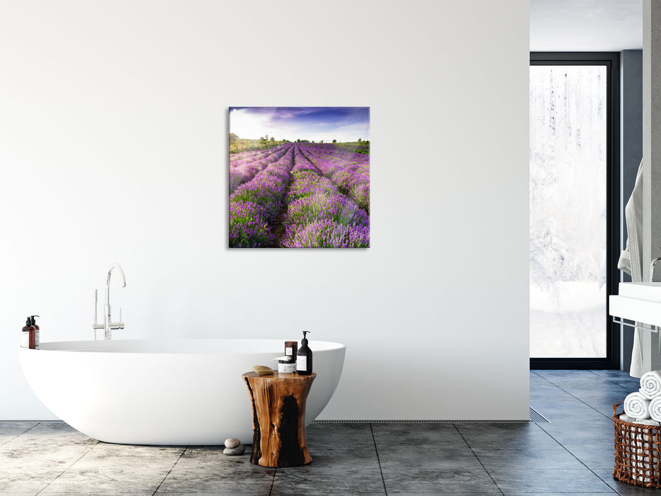 Lavendelfeld Provence, Glasbild Quadratisch