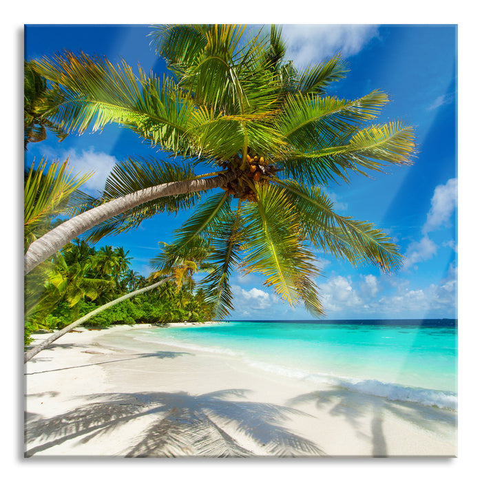 Pixxprint Palmenstrand, Glasbild Quadratisch