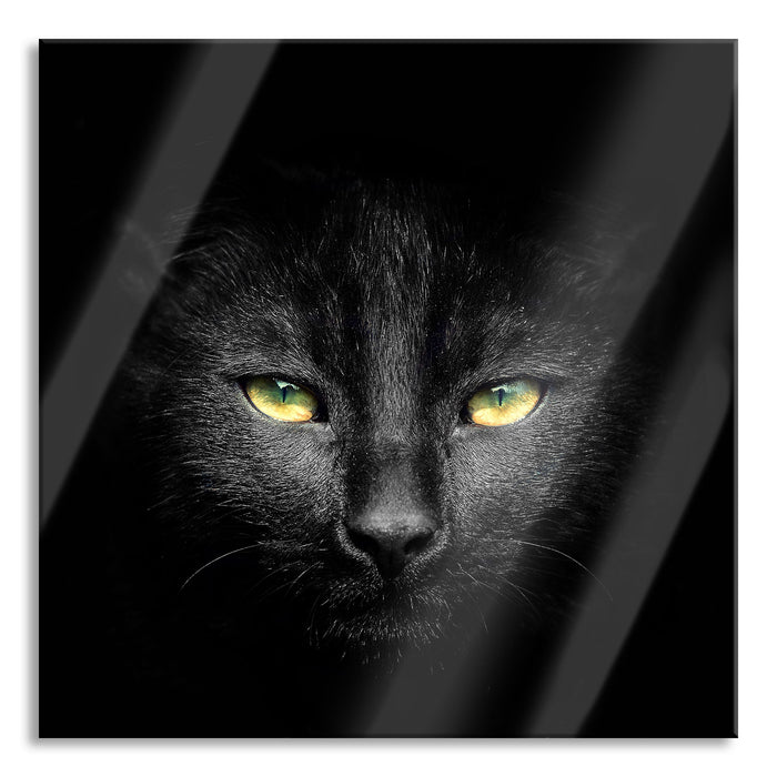 Pixxprint Dark schwarzes Katzengesicht, Glasbild Quadratisch