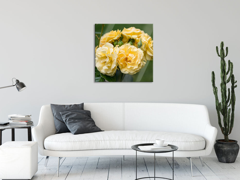 Weiß gelbe Rose Blumen, Glasbild Quadratisch