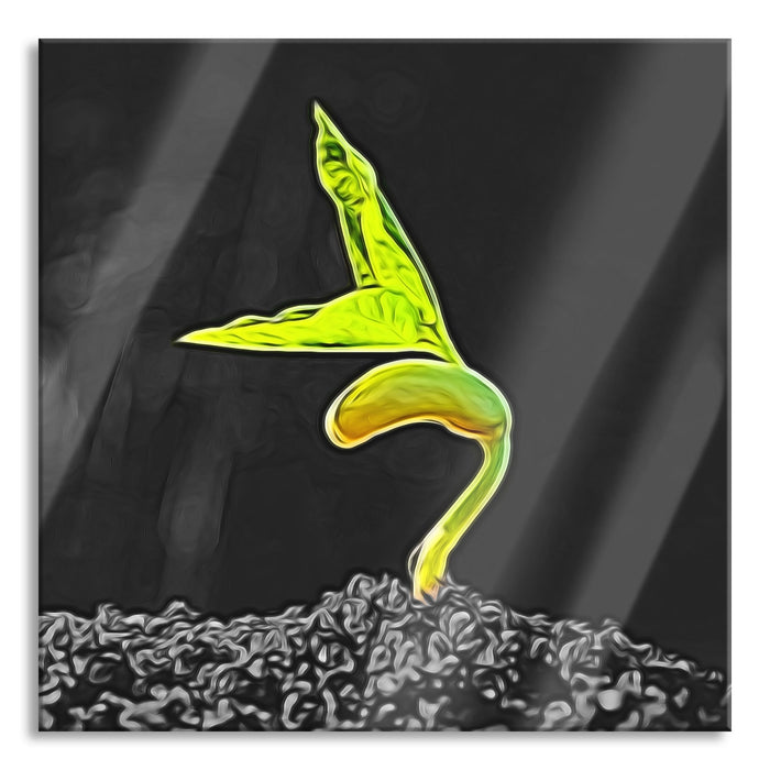 Pixxprint Keimling, Glasbild Quadratisch