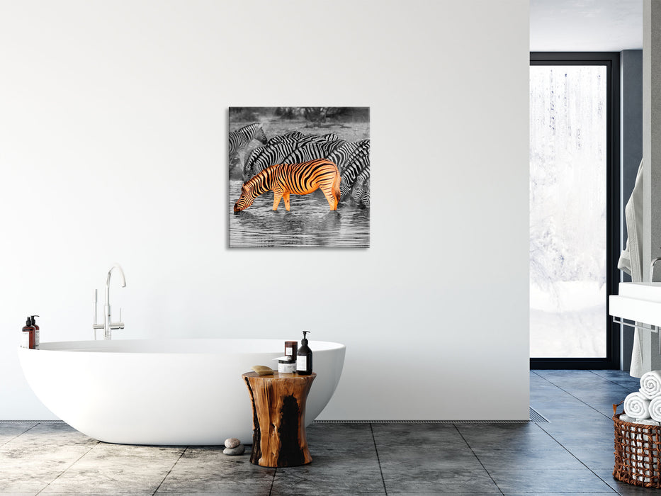 Zebras an der Wasserstelle, Glasbild Quadratisch