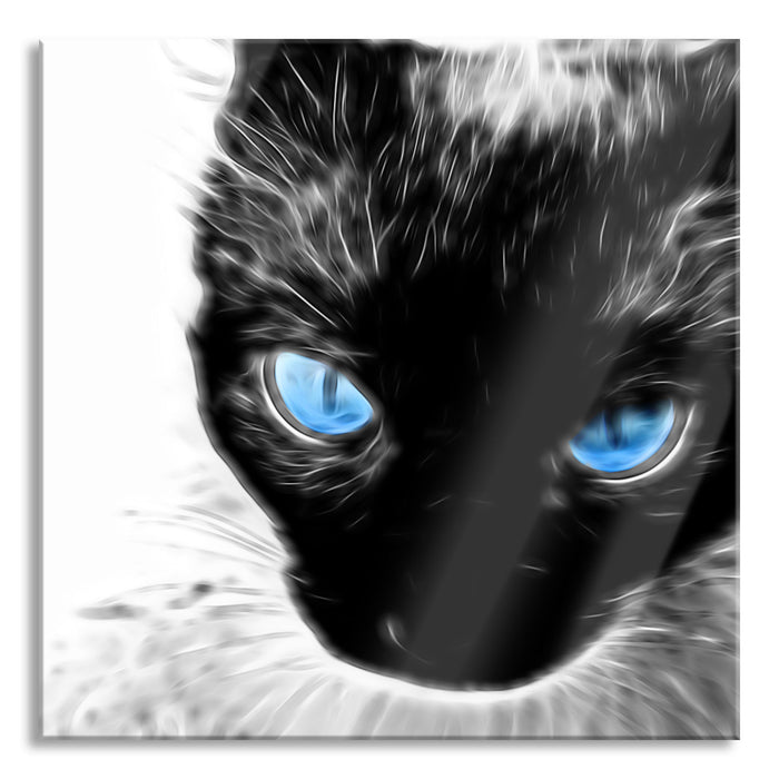 Pixxprint Blaue Augen schwarze Katze new Art, Glasbild Quadratisch