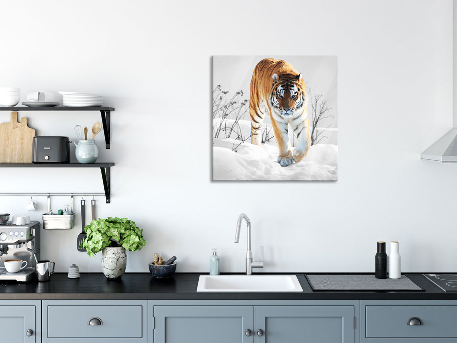 Großer wilder Tiger im Schnee, Glasbild Quadratisch