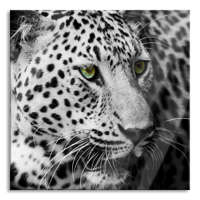 Pixxprint Dark Leopard mit grünen Augen, Glasbild Quadratisch