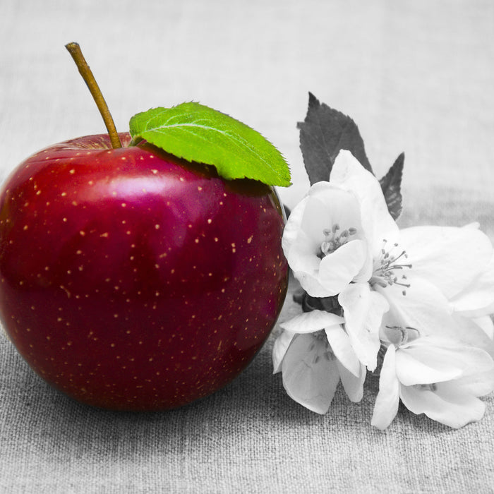Schöner roter Apfel mit Blüten, Glasbild Quadratisch