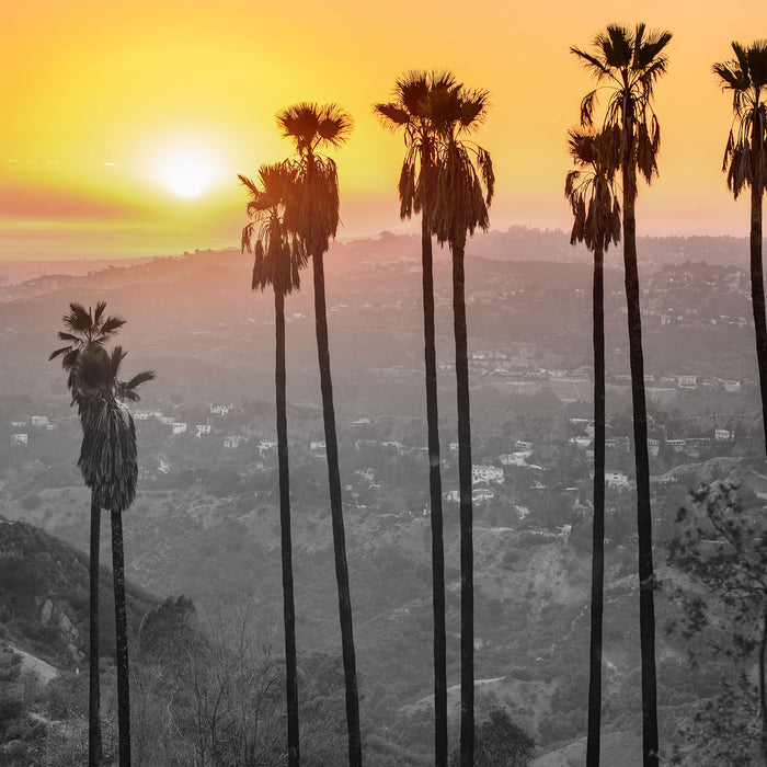 Aussicht auf den Hollywood Hills, Glasbild Quadratisch