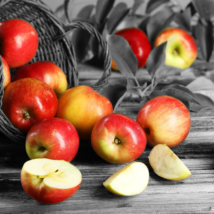 Umgefallener Apfelkorb mit Äpfeln, Glasbild Quadratisch