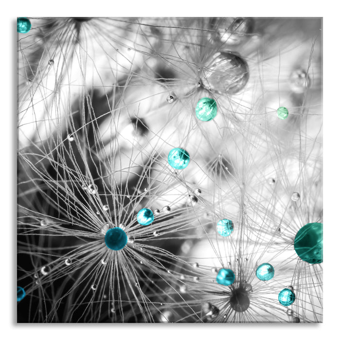 Pixxprint Wassertropfen auf Pusteblume, Glasbild Quadratisch