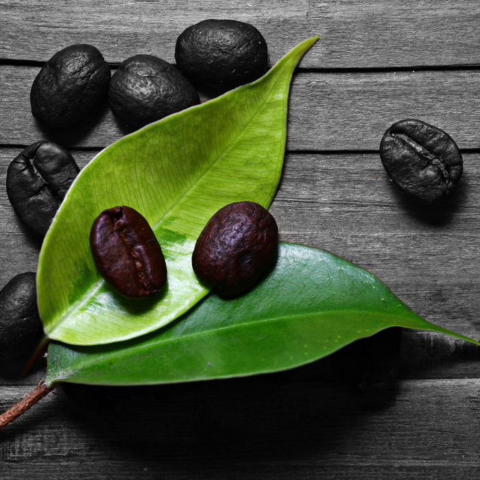 kleine Kaffeebohnen auf Blättern, Glasbild Quadratisch