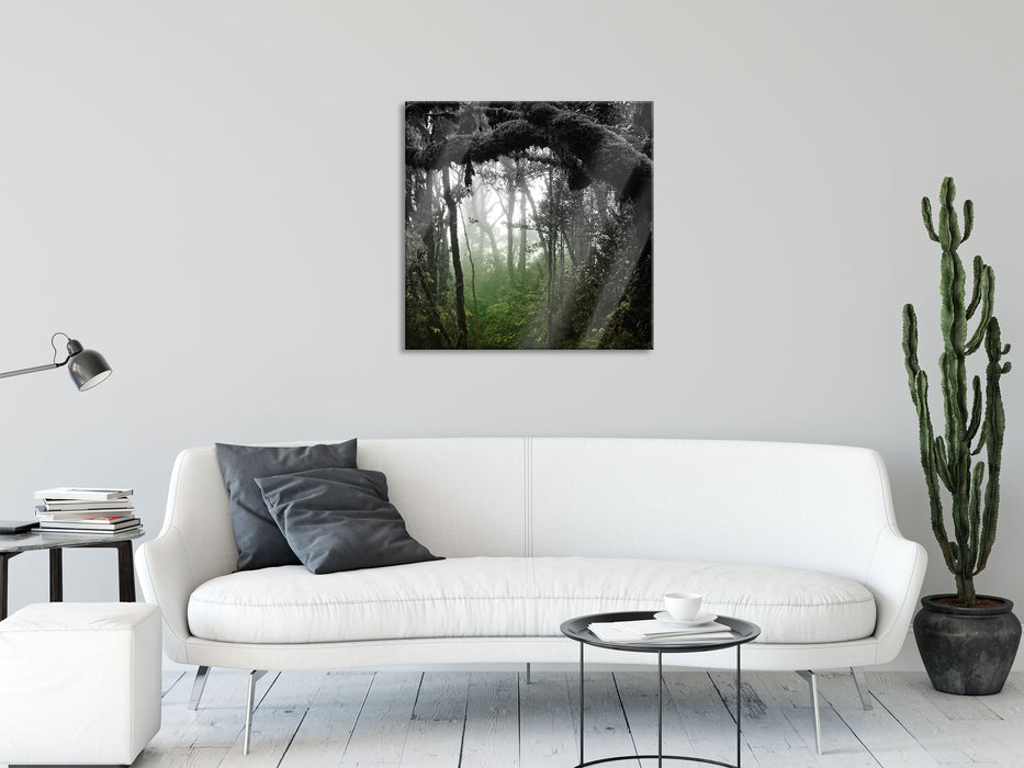 Regenwald in seiner Pracht, Glasbild Quadratisch