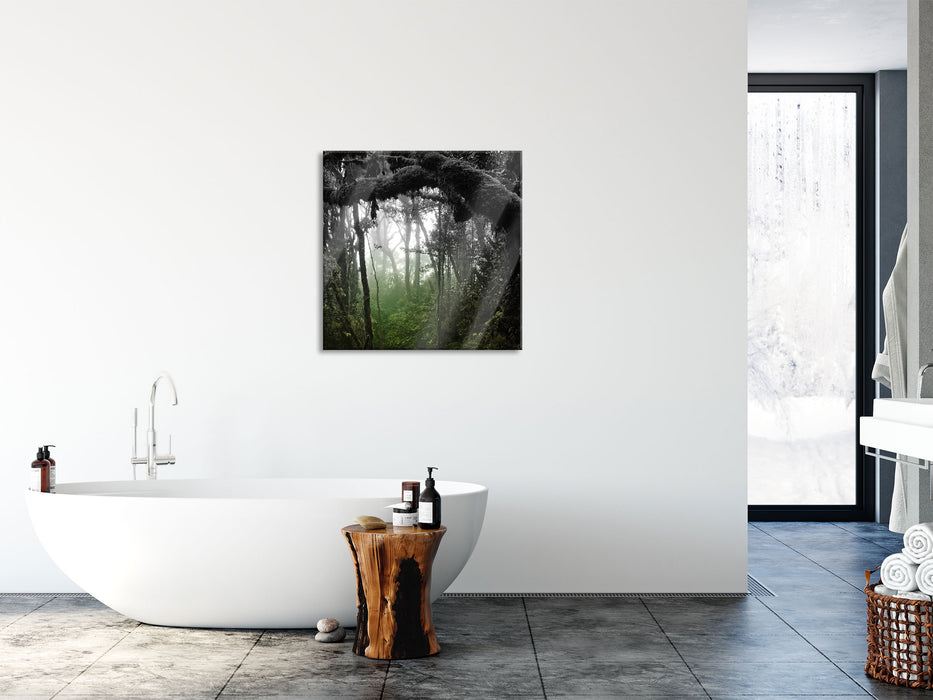 Regenwald in seiner Pracht, Glasbild Quadratisch