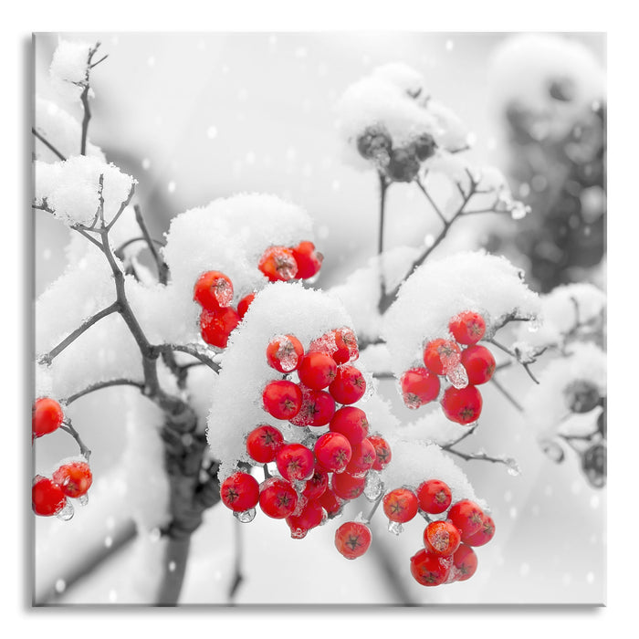 Pixxprint Rote Vogelbeeren im Winter, Glasbild Quadratisch