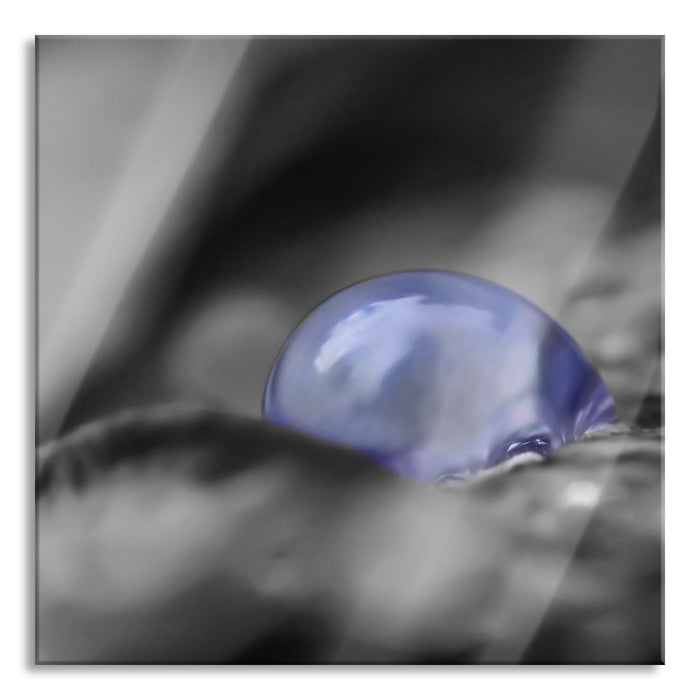 Pixxprint blauer Wassertropfen auf Blatt, Glasbild Quadratisch