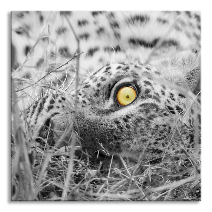 Pixxprint aufmerksamer liegender Leopard, Glasbild Quadratisch