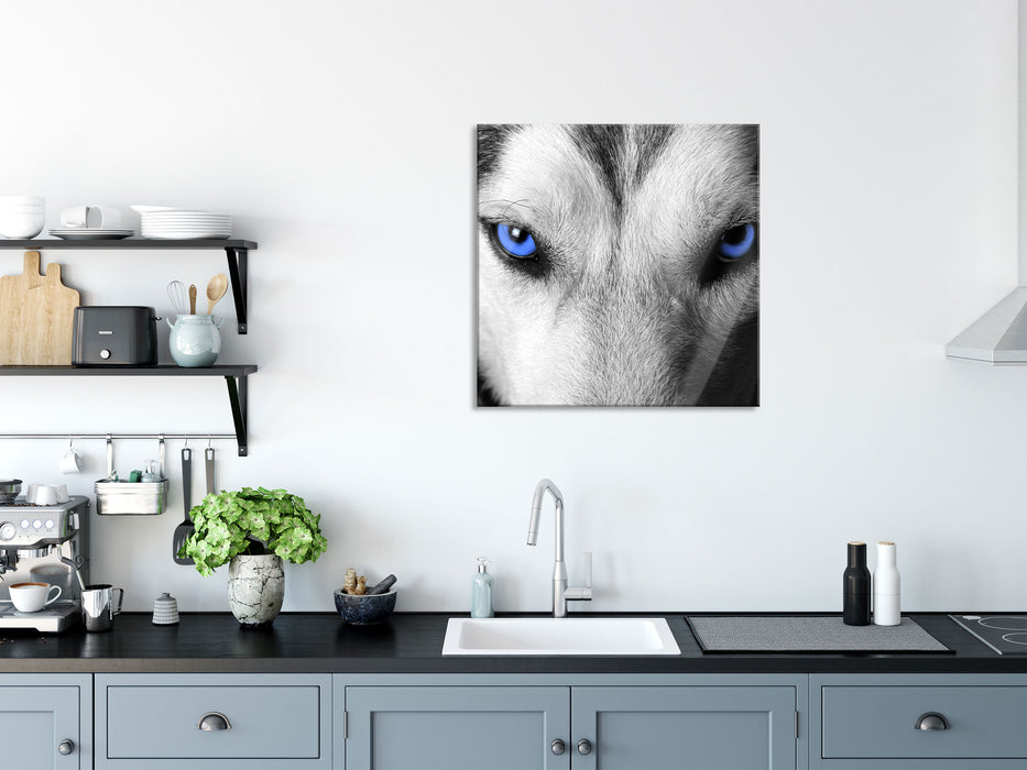 Husky mit Augen, Glasbild Quadratisch