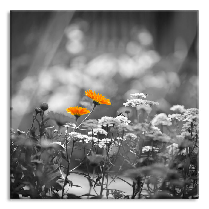 Pixxprint Gartenblumen auf Wiese, Glasbild Quadratisch