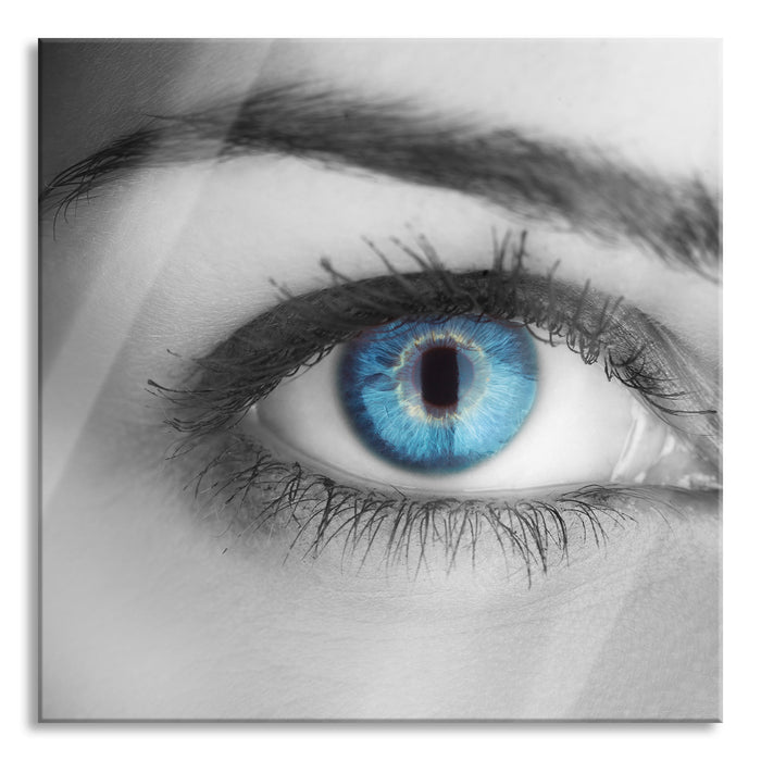 wunderschöne blaue Iris, Glasbild Quadratisch